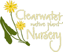 Clearwater Native Plant Nursery