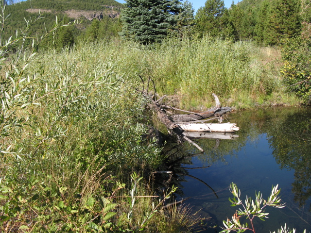 tumalo creek.JPG